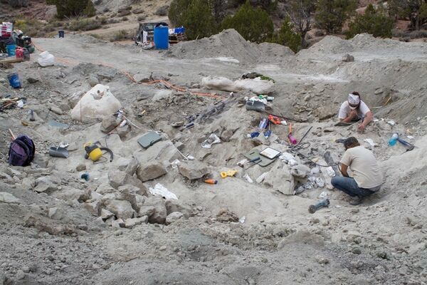 A view of excavations at Dinosaur of America's private "sutton quarry" East of Dinosaur, Colorado.
